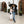 HERO Travel Umbrella - Windproof, Compact and Portable